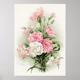 Cute vintage carnations home decor poster