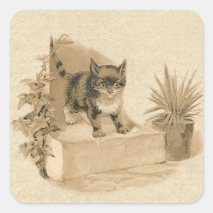Cute Vintage Cat Drawing Antique French Card Square Sticker