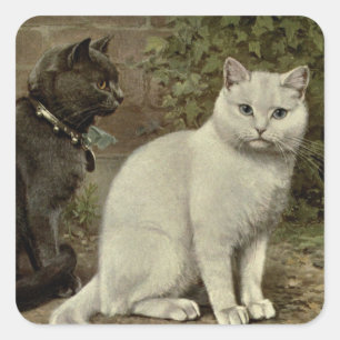 cute vintage cat lovers Square Sticker