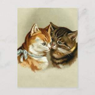 Cute Vintage Cats Postcard
