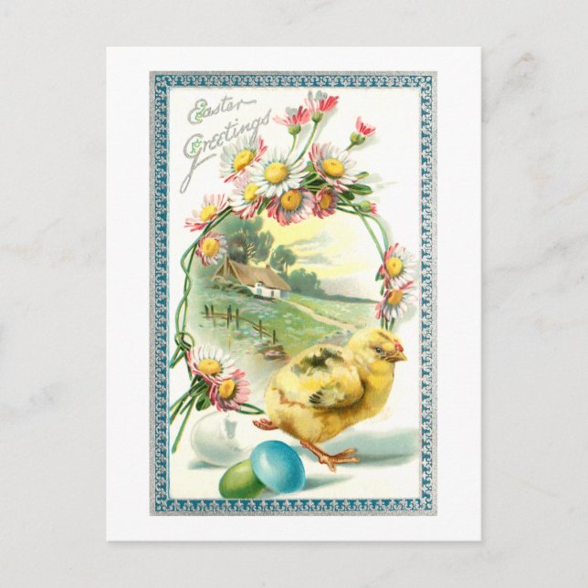 Cute Vintage Chick, Easter Eggs and Daisies Postcard (Front)