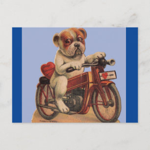 Cute Vintage Dog on Motorbike Valentine Postcard