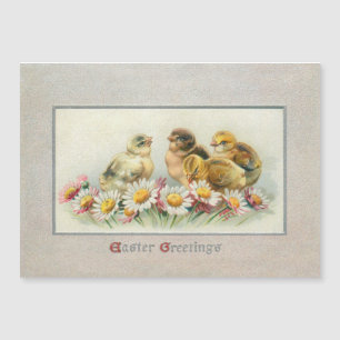 Cute Vintage Easter Chicks and Daisies
