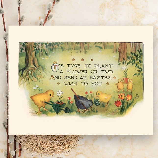 Cute Vintage Easter Chicks & Spring Flowers Postcard (Creator Uploaded)