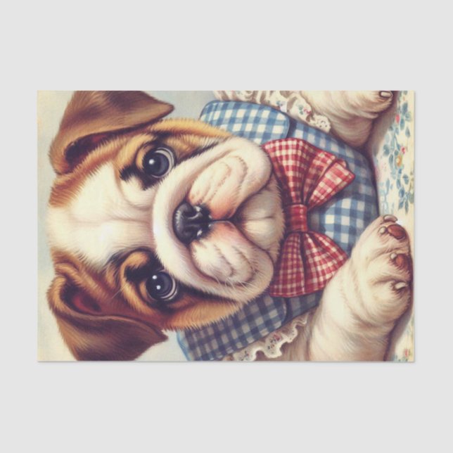 Cute Vintage English Bulldog Art Tissue Paper (Front)