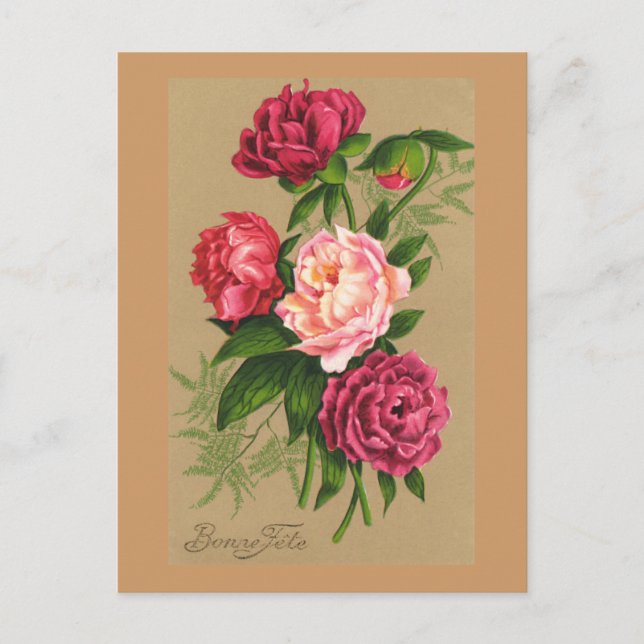 Cute Vintage Floral Pink Roses Postcard (Front)