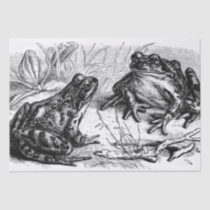 Cute vintage Frogs party Tissue Paper