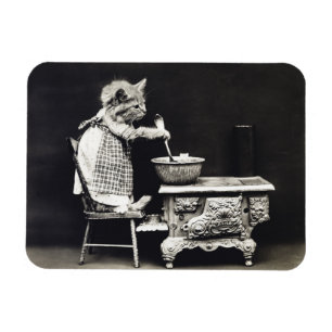 Cute Vintage Funny Kitten Baking and Cooking Magnet