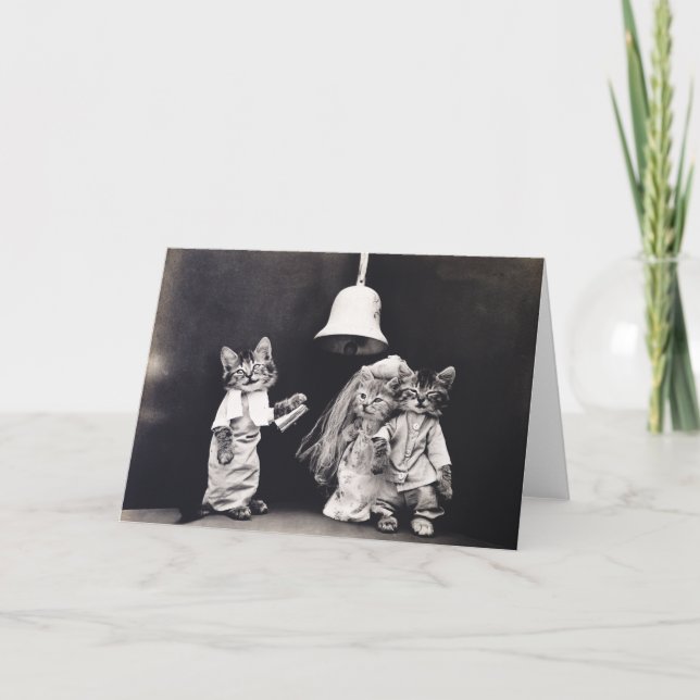 Cute Vintage Funny Kitten Couple Wedding Ceremony Card (Front)