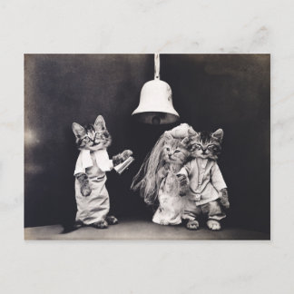 Cute Vintage Funny Kitten Couple Wedding Ceremony Postcard