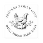 Cute Vintage Hand-drawn Hen Chicken Egg Carton