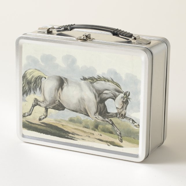 cute vintage horse lovers  metal lunch box (Front)