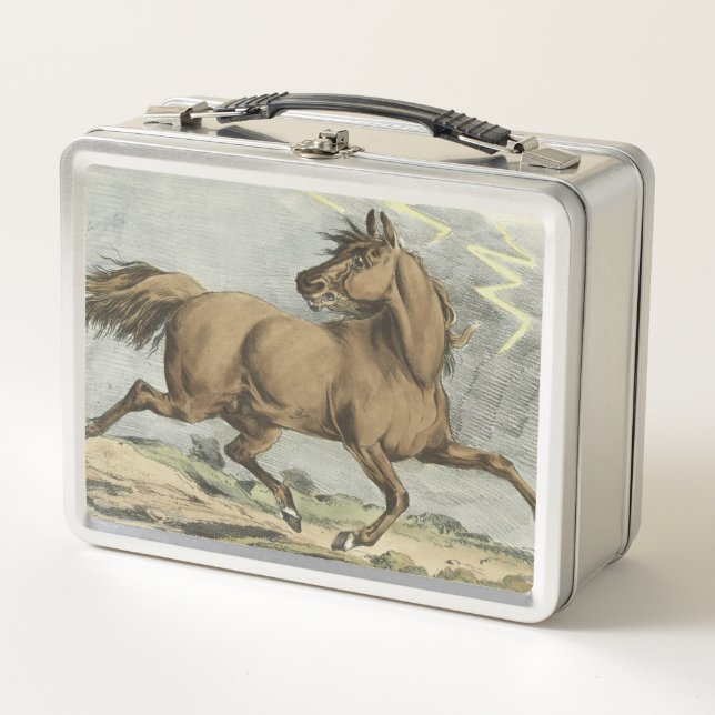 cute vintage horse lovers metal lunch box (Front)