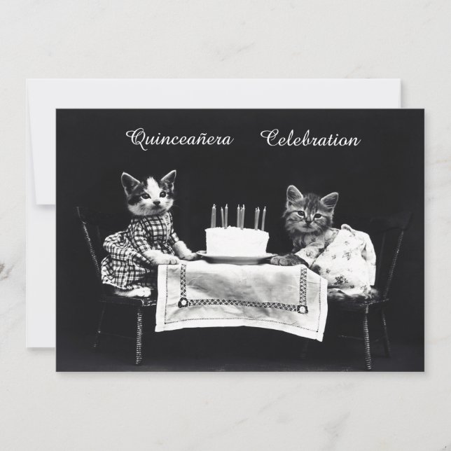 Cute Vintage Kittens Birthday Party Invitation (Front)
