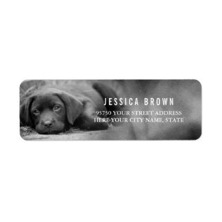 Cute Vintage Labrador custom return address label