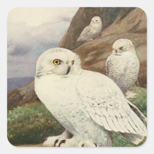 cute vintage owl lovers square sticker