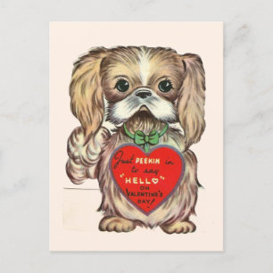 Cute Vintage Pekingese Puppy Dog 1950's Valentine Postcard