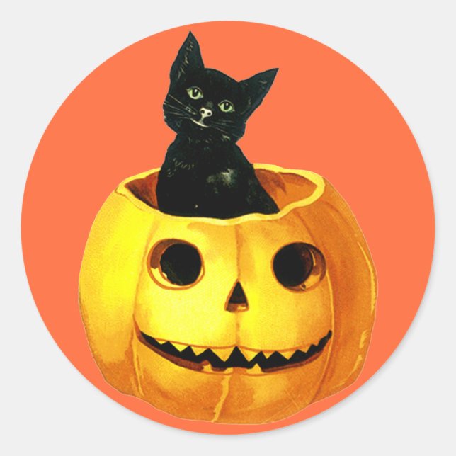 Cute Vintage Pumpkin & Black Cat for Halloween Fun Classic Round Sticker (Front)
