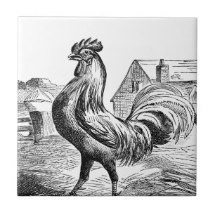 Cute vintage rooster farmhouse decor tile
