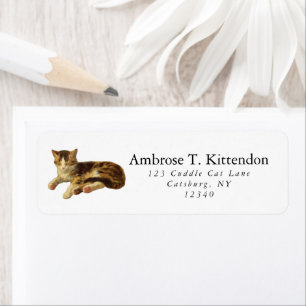 Cute Vintage Sleepy Nap Brown and White Tabby Cat