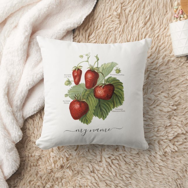 Cute Vintage Strawberry Varieties Add Your Name Cushion (Blanket)