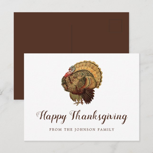 Cute Vintage Turkey Happy Thanksgiving Greetings Postcard (Front/Back)