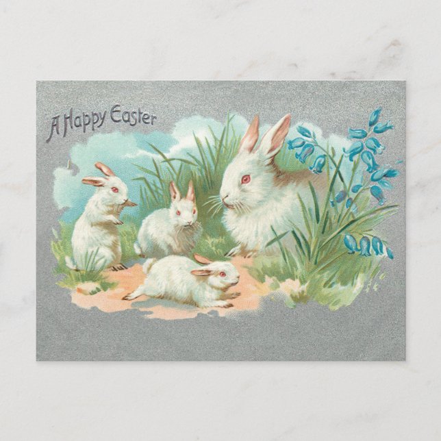 Cute Vintage White Easter Bunnies Holiday Postcard (Front)
