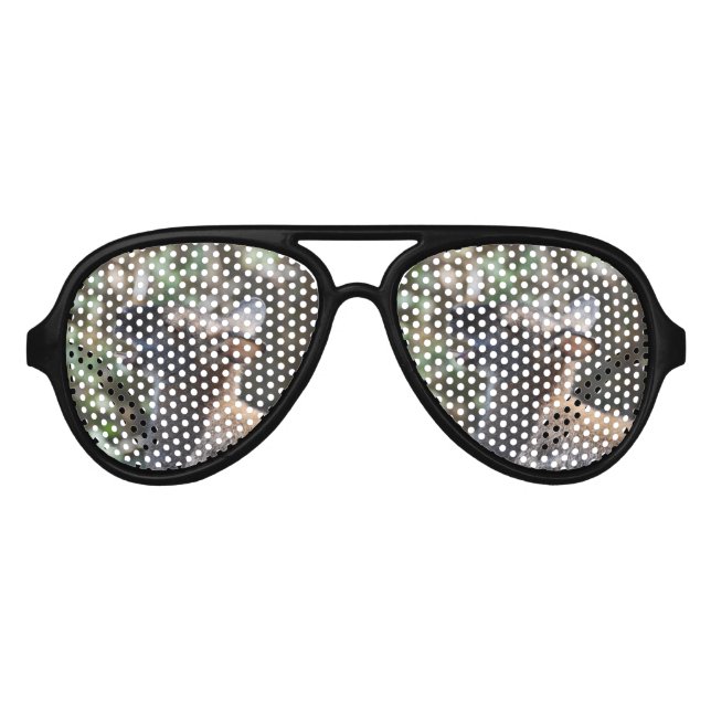 Cute Wallaby Aviator Sunglasses (Front)