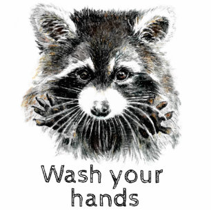 Cute Washroom Wash your Hands Raccoon Animal Standing Photo Sculpture