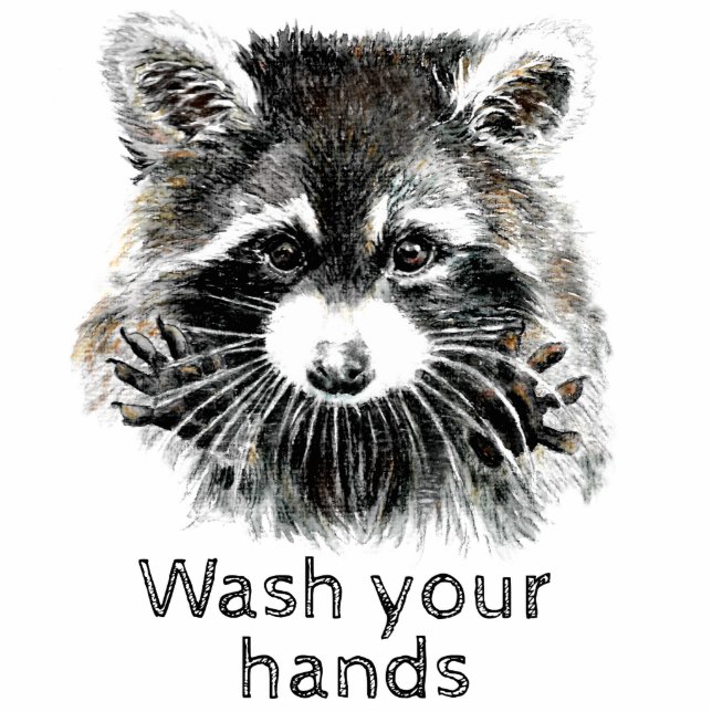 Cute Washroom Wash your Hands Raccoon Animal Standing Photo Sculpture (Front)