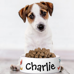 Cute Watercolor Aeroplane & Name, Custom Pet Dog Bowl