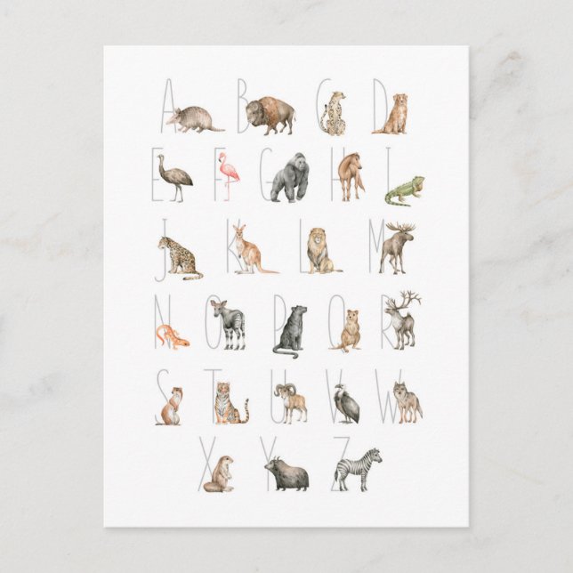 Cute Watercolor Animal Alphabet Postcard (Front)