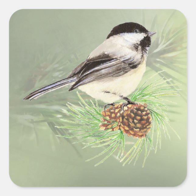 Cute Watercolor Chickadee Bird in Pine Tree Square Sticker (Front)