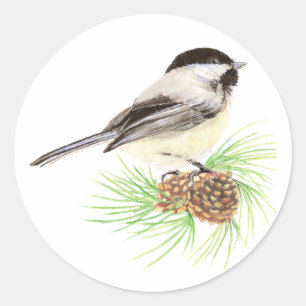 Cute Watercolor Chickadee Bird Pine Tree Classic Round Sticker