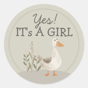 Cute Watercolor Goose It's A Girl Round Sticker