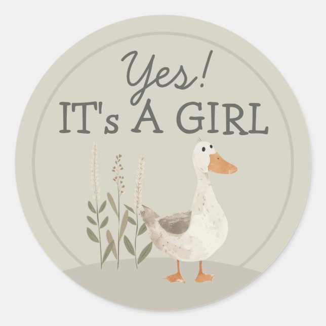 Cute Watercolor Goose It's A Girl Round Sticker (Front)