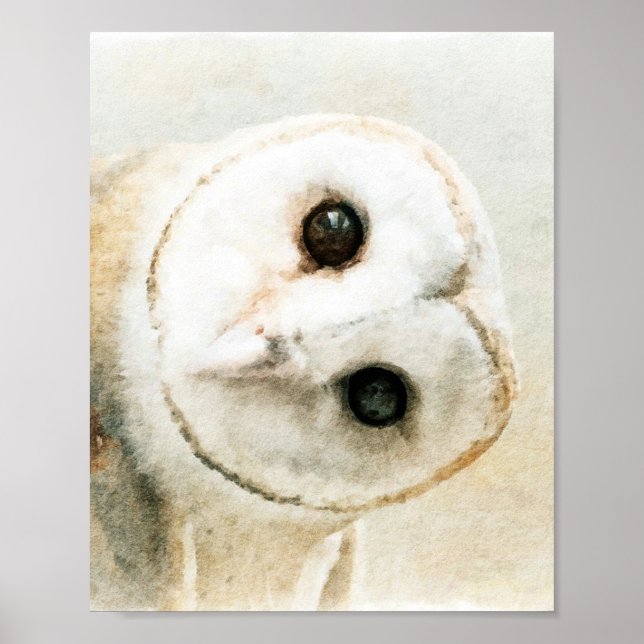 Cute Watercolor Owl Poster (Front)
