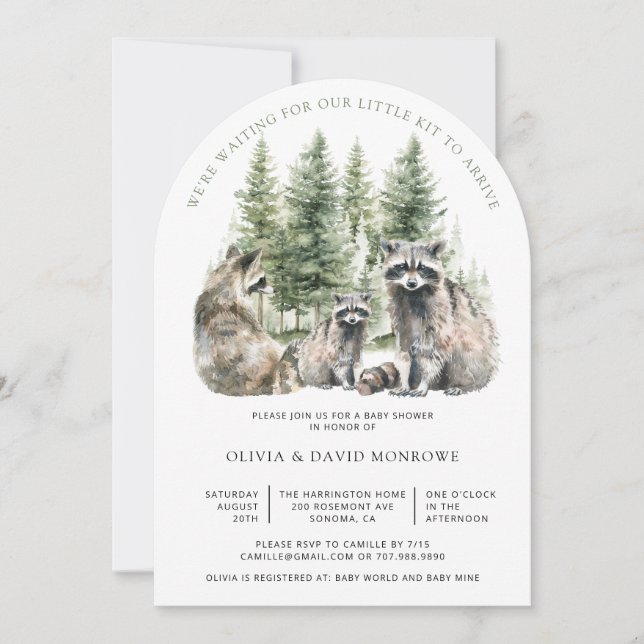 Cute Watercolor Racoon Parents Baby Shower Invitation (Front)