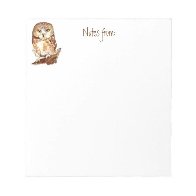 Cute Watercolor Saw Whet Owl, Bird, Animal Notepad (Front)