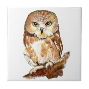 Cute Watercolor Saw Whet Owl, Bird, Animal Tile