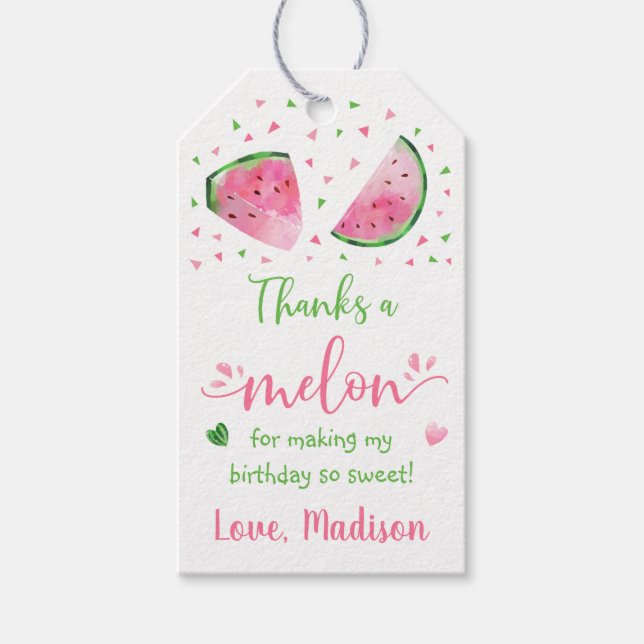 Cute Watermelon Thanks A Melon Birthday Gift Tags (Front)