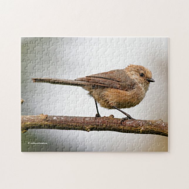 Cute Wee Bushtit Songbird on Fruit Tree Jigsaw Puzzle (Horizontal)