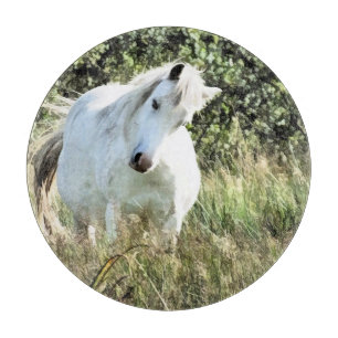 CUTE WELSH MOUNTAIN PONY CUTTING BOARD
