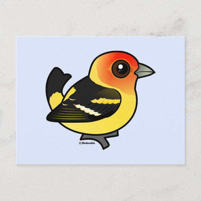 Cute Western Tanager Postcard (Front)