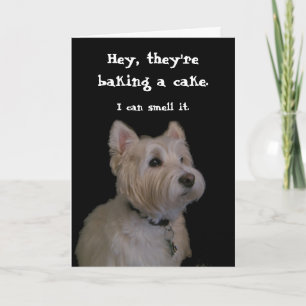 Cute Westie Birthday Card