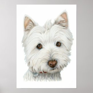 Cute Westie Dog Print