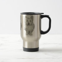 Cute Westie Dog