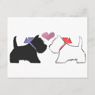 Cute Westie Dogs Art Postcard
