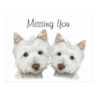 Cute Westie Dogs Postcard