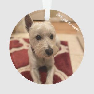 Cute Westie Ornament